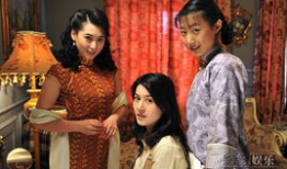 杀狼花电视剧,烽火岁月中的巾帼英雄传奇